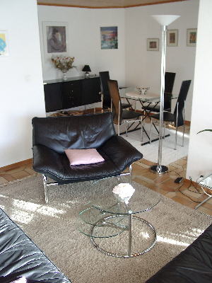 salon_salle_a_manger_interieur.jpg